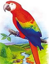 Guacamaya, ave nacional de Honduras